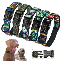Collier de chien personnalisé en nylon avec plaque signalétique plaque d'identification gravée