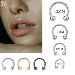 ZS-Piercing en Acier Inoxydable pour Homme et Femme Anneau Antarctique Helix Oreille Septum