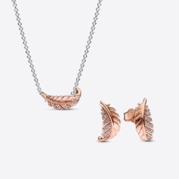 Ensemble Clous d’Oreilles et Collier Plume Courbe Flottante