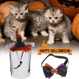 Chapeau d'halloween en Polyester de couleur vive 1 ensemble collier pour chien et chat chapeau