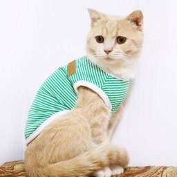 Vêtements classiques pour animaux de compagnie pour chats chemise en émail à rayures mignonnes