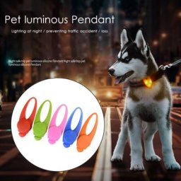 Lampe de poche LED de nuit pour animal de compagnie collier de chien et de chat pendentif