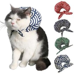Le maître veut s'enfuir collier pour animaux de compagnie de style japonais chat américain court