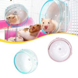 Jeu de course à disque pour Animal de compagnie souris et Rat en plastique rotatif et silencieux