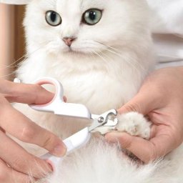 Coupe-ongles professionnel pour animaux de compagnie ciseaux à griffes Parker coupe-ongles