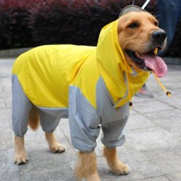 Manteau de pluie réfléchissant pour grands chiens S-5XL animaux de compagnie petit chien veste