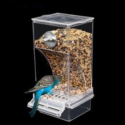 Mangeoire à oiseaux suspendue pour Cage distributeur automatique de nourriture récipient en