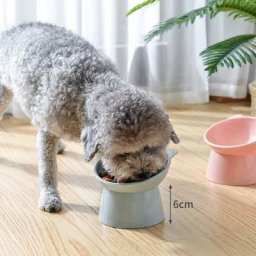 Bol alimentaire en plastique pour chat Anti-vomissement protection de la colonne vertébrale