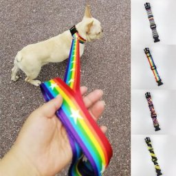 Collier réglable en Nylon pour chiens nouveau motif imprimé doux confortable et bien fait pour
