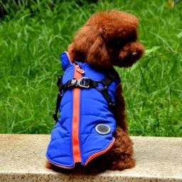 Vestes d'hiver coupe-vent pour animaux de compagnie vêtements chauds pour chiens bouledogue