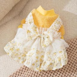 Robe de princesse chaude pour animaux de compagnie automne hiver vêtements moyens petits chiens