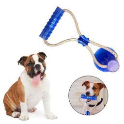 Jouets interactifs à mâcher en caoutchouc pour animaux de compagnie nettoyage des dents élasticité