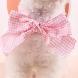 Bandana pour animaux de compagnie lavable Chic réglable ne rétrécit pas respirant pour
