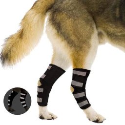 Bandages pour animaux de compagnie 1 ensemble sangles de protection pour les jambes et les genoux