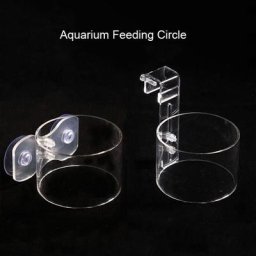 Anneau d'alimentation pour Aquarium 1 pièce Station pour poissons plateau d'alimentation