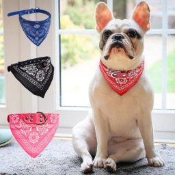Collier en PU avec Bandanas pour Chien et Chat Accessoire pour Petits et Moyens Chiens Bouledogue