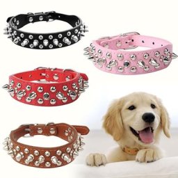 Collier à rivets pour chien de compagnie sangle cloutée à pointes simili cuir collier à col
