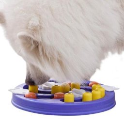 Jouet labyrinthe interactif pour animaux de compagnie jeu de Puzzle pour chien distributeur de