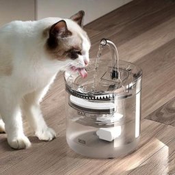 Distributeur d'eau électrique pour animaux de compagnie fontaine à boire pour chien et chat