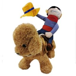T-shirt et manteau pour chien équipement d'équitation pour chat Cosplay meilleure vente