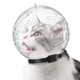 Muselière anti-morsure pour chat respirant espace de protection capuche masque de toilettage