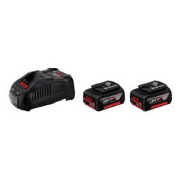 2 batteries gba 18V 5.0Ah + Chargeur gal 1880 cv Bosch 1600A00B8J