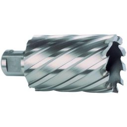 108531 - Foret creux hss Weldon profondeur de queue 55 mm (ø 31 mm) - Ruko