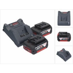 Bosch gal 18V-20 Chargeur 10,8 - 18V - 2A + 2x Batteries gba 18V - 5,0Ah (2607337069) (2607226281)