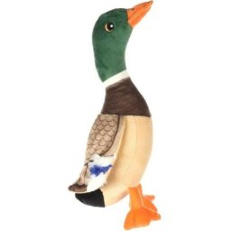 Animallparadise - Peluche canard Paloma brun 33 cm, pour chien Marron