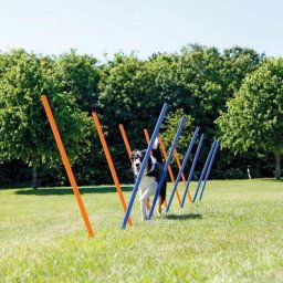 Piquets de slalom pour parcours d'agilité 115 cm 12 pcs Plastique Trixie Multicolore
