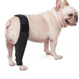 Genouillère pour chien Sangle de jambe fixe Protecteur de cuisse (s) Noir 1 pièce