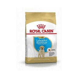 Croquettes Royal Canin Puppy Labrador Retriever chiot de 2 à 15 mois Sac 12 kg
