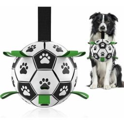 Jouets Pour Animaux De Compagnie, Jouets De Balle Pour Chien, Ballon De Football Saisir, Balle