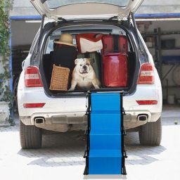 Marches d'escalier pour Chien, Escalier Pliable pour Chien, Mise à Niveau de 4 Etapes Grande Rampe