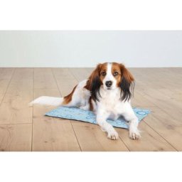 Tapis rafraîchissant pour chiens m 50x40 cm Bleu clair Trixie n/a