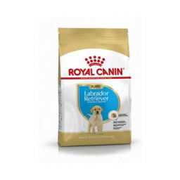 Croquettes Royal Canin Puppy Labrador Retriever chiot de 2 à 15 mois Sac 3 kg