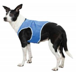 Veste rafraîchissante taille xs pour chien Trixie Bleu
