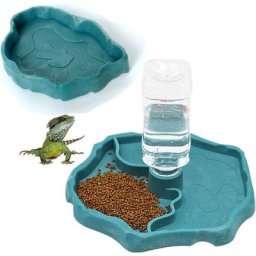 Distributeur d'eau pour Reptile, Distributeur 2 en 1 de Nourriture Anti Debordement Bol, Gamelle en