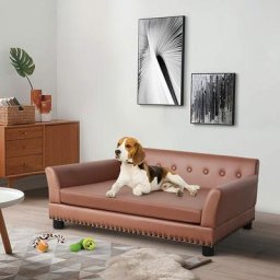 Canapé Chien Grande Taille - Fauteuil pour Grand Chiens Lit Surélevé sur Pieds en Bois avec Coussin