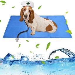 Tapis refroidissement pour Chien Coussin Niche Couverture Cool Mat Gel Bleu Convient Chats aux