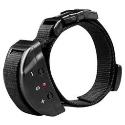 Dispositif anti-aboiement pour chien imperméable à l’eau Répulsif Collier de dressage