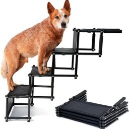 skecten® Marches d'escalier pour Chien, Escalier Pliable pour Chien, Mise à Niveau de 4 Etapes