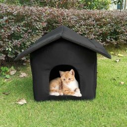 Maison d'extrieur pour chats rsistante aux intempries, Maison d'intrieur pour chiens, Tente