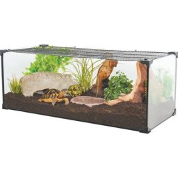 Kit terrarium tortue terrestre Karapas Pro - Noir