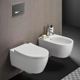 Geberit - Paire de sanitaires suspendus avec vidage universel et siège traditionnel modèle Icon