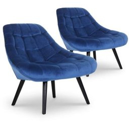 Lot de 2 fauteuils Danios Velours Bleu - Bleu