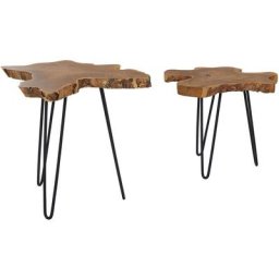 2 x Tables Basses avec Plateau en Bois de Java et Pieds en Métal Noir Design Industriel pour Salon