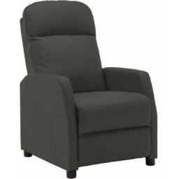 Fauteuil inclinable Anthracite Similicuir Vidaxl Anthracite