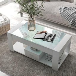 Table Basse de Salon avec Plateau en Verre Casiers et Espace de Rangement Noir 100 x 50 x 40cm
