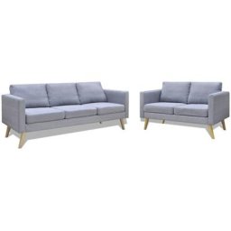 Vidaxl - Jeu de canapé à 2 places et à 3 places Tissu Gris clair Gris clair